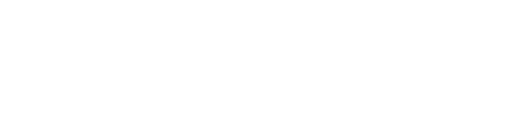 BounceZip